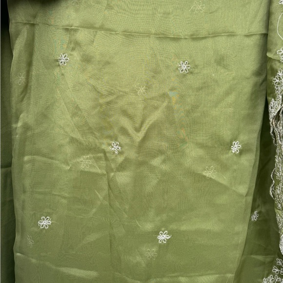 Pistachio Gown with Dupatta - Picture 7 of 9